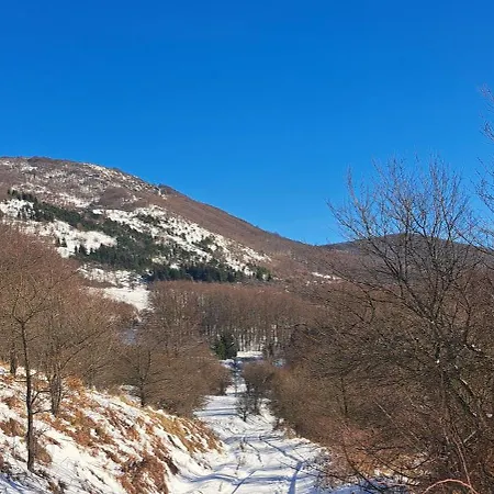 Koliba Boema デスポトヴァツ