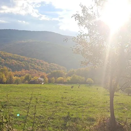 Koliba Boema シャレー デスポトヴァツ