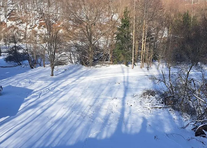 シャレー Koliba Boema