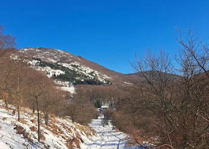 Koliba Boema デスポトヴァツ