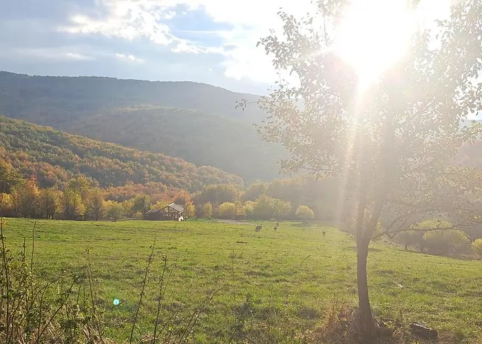 Koliba Boema シャレー デスポトヴァツ