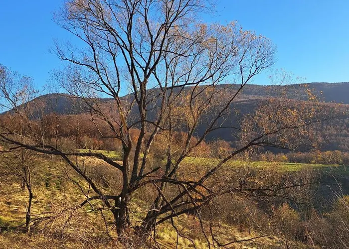 Koliba Boema シャレー デスポトヴァツ